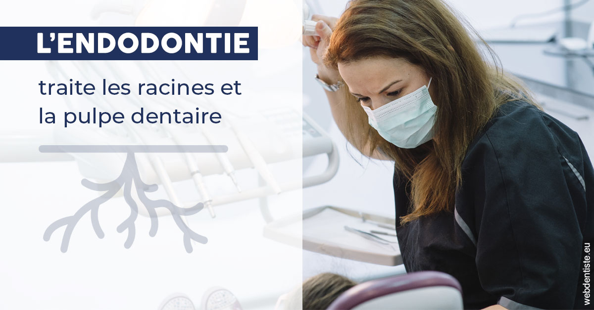 https://dr-atinault-philippe.chirurgiens-dentistes.fr/L'endodontie 1