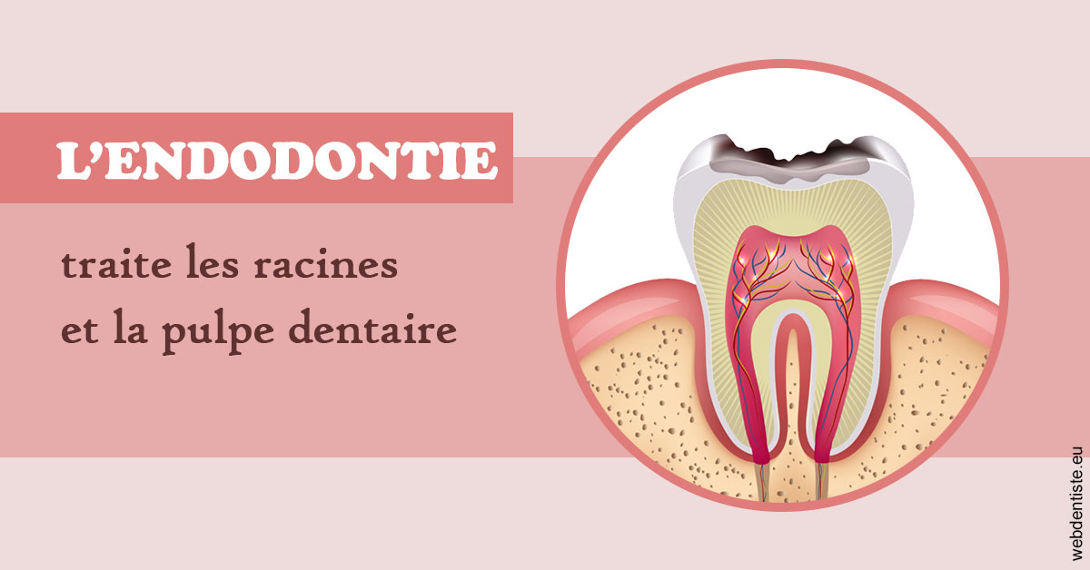 https://dr-atinault-philippe.chirurgiens-dentistes.fr/L'endodontie 2