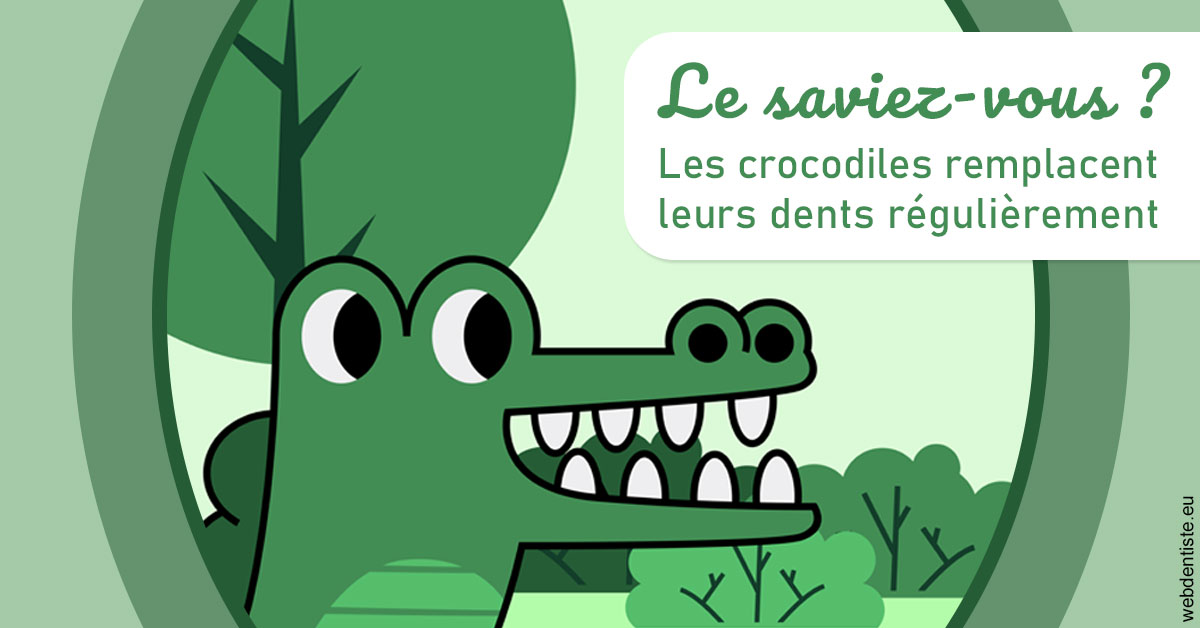 https://dr-atinault-philippe.chirurgiens-dentistes.fr/Crocodiles 2